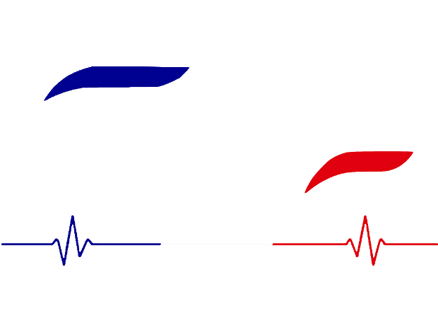 E-Motion France
